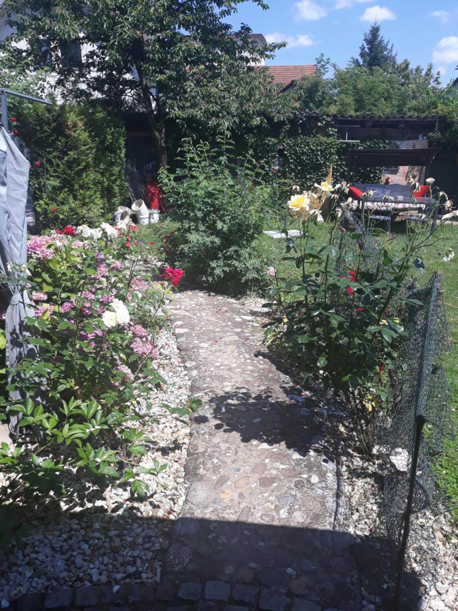 Rose Room 40M2 With Terrace 25M2 In Greeny Area For 4 Person Любляна Экстерьер фото