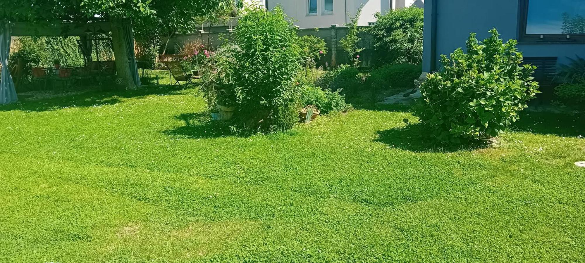 Rose Room 40M2 With Terrace 25M2 In Greeny Area For 4 Person Любляна Экстерьер фото